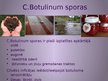 Prezentācija 'Clostridium botulinum baktērija', 4.