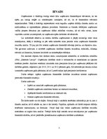 Referāts 'SIA "Intersols" finanšu analīze', 3.