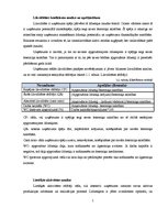 Referāts 'SIA "Intersols" finanšu analīze', 5.