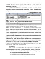 Referāts 'SIA "Intersols" finanšu analīze', 6.