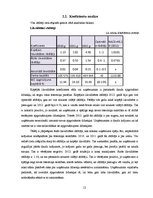 Referāts 'SIA "Intersols" finanšu analīze', 12.