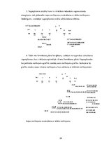 Referāts 'Ekspluatācijas darba tehnoloģija un vadība', 24.