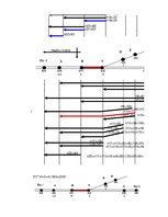 Referāts 'Ekspluatācijas darba tehnoloģija un vadība', 93.