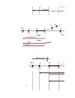 Referāts 'Ekspluatācijas darba tehnoloģija un vadība', 96.
