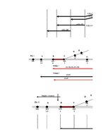 Referāts 'Ekspluatācijas darba tehnoloģija un vadība', 97.