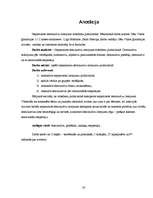 Referāts 'Deminutīvu nepamatots lietojums mūsdienu publicistikā', 20.