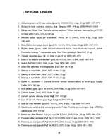 Referāts 'Deminutīvu nepamatots lietojums mūsdienu publicistikā', 22.