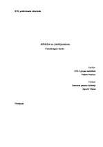 Referāts 'Interneta pamati', 1.