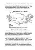 Referāts 'Interneta pamati', 4.