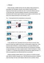 Referāts 'Interneta pamati', 13.
