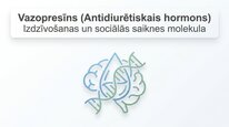 Prezentācija 'Vazopresīns', 1.
