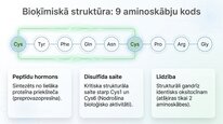 Prezentācija 'Vazopresīns', 4.