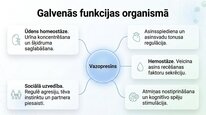 Prezentācija 'Vazopresīns', 6.