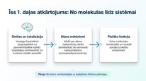 Prezentācija 'Vazopresīns', 14.