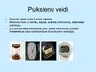 Prezentācija 'Elektroniskie pulksteņi', 4.