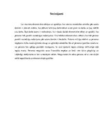 Referāts 'Noziedzības ekonomiskie cēloņi un veicinošie apstākļi', 9.