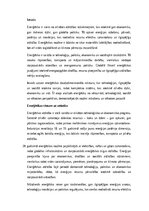 Eseja 'Enerģētika: ilgtspējība, inovācijas un globālā nozīme', 1.