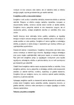 Eseja 'Enerģētika: ilgtspējība, inovācijas un globālā nozīme', 3.