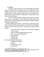 Referāts 'Moderno tehnoloģiju izmantošana vēstures apguvē skolās', 16.