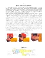 Referāts 'Padomi un pamācības drošībai', 4.