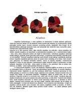 Referāts 'Padomi un pamācības drošībai', 5.