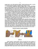 Referāts 'Padomi un pamācības drošībai', 10.