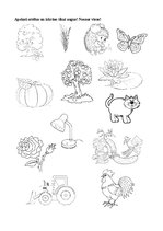 Prezentācija 'Augu pasaule, burtnīca pirmsskolai', 2.