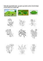 Prezentācija 'Augu pasaule, burtnīca pirmsskolai', 3.