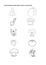 Prezentācija 'Augu pasaule, burtnīca pirmsskolai', 4.