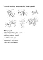 Prezentācija 'Augu pasaule, burtnīca pirmsskolai', 5.