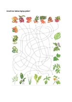 Prezentācija 'Augu pasaule, burtnīca pirmsskolai', 11.