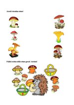 Prezentācija 'Augu pasaule, burtnīca pirmsskolai', 13.