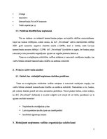 Referāts 'Prakses atskaite AS "Privatbank"', 5.