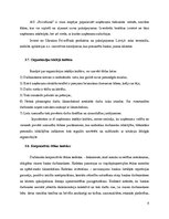 Referāts 'Prakses atskaite AS "Privatbank"', 9.