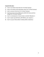 Referāts 'Prakses atskaite AS "Privatbank"', 13.