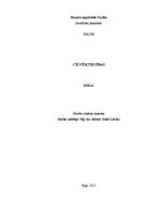 Eseja 'Cilvēktiesības', 1.