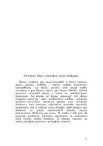 Prakses atskaite 'Atskaite par praksi lidostā no muitnieka redzespunkta', 11.