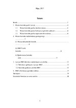 Referāts 'Kontroles organizācija muitas kontroles punktos', 2.