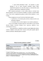 Referāts 'Kontroles organizācija muitas kontroles punktos', 11.