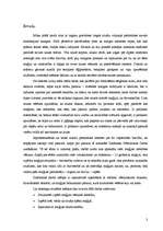 Referāts 'Maģija cauri gadsimtiem', 3.