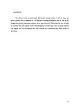 Referāts 'Maģija cauri gadsimtiem', 28.