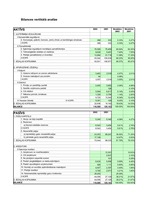 Konspekts 'Uzņēmuma SIA "Laine" finanšu pārskata analīze par 2002.gadu', 3.