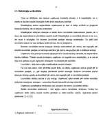 Referāts 'Finanšu analīze', 13.