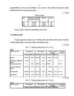 Referāts 'Finanšu analīze', 32.