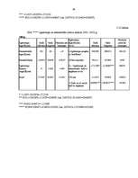 Referāts 'Finanšu analīze', 39.