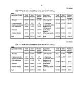 Referāts 'Finanšu analīze', 41.