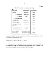 Referāts 'Finanšu analīze', 43.