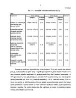 Referāts 'Finanšu analīze', 51.