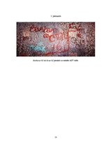 Referāts 'Grafiti', 18.