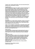 Konspekts 'Efektīvāka reklāma', 2.